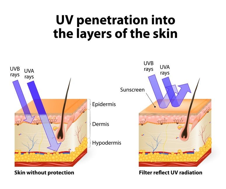 UV Penetration